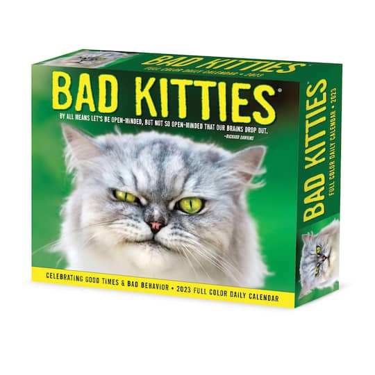 2023 Bad Kitties Box Calendar Michaels